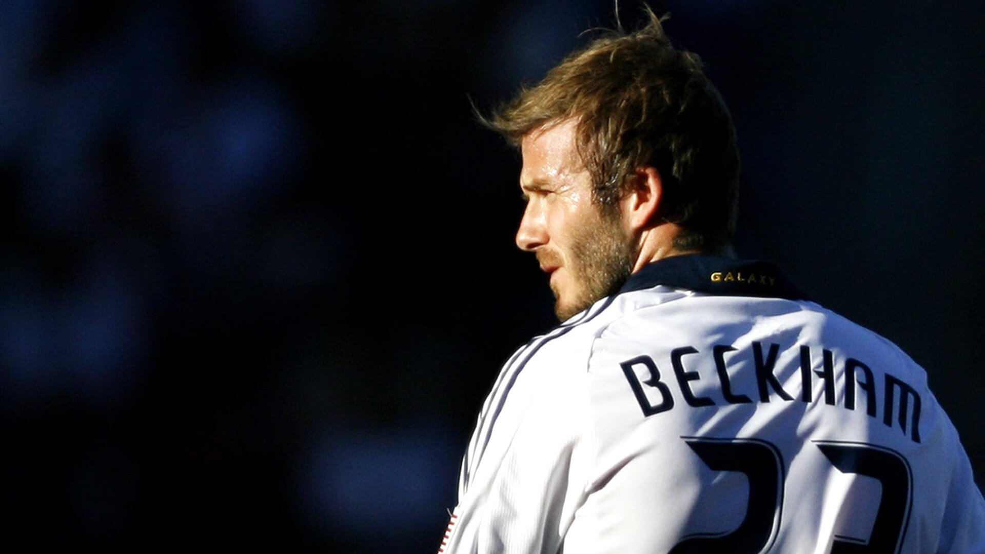 跨界焦点，从美加墨世界杯到广厦猎熊，竞技之美的唯一性绽放